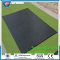 Tapis en caoutchouc pour chevaux / tapis de sol en caoutchouc stable